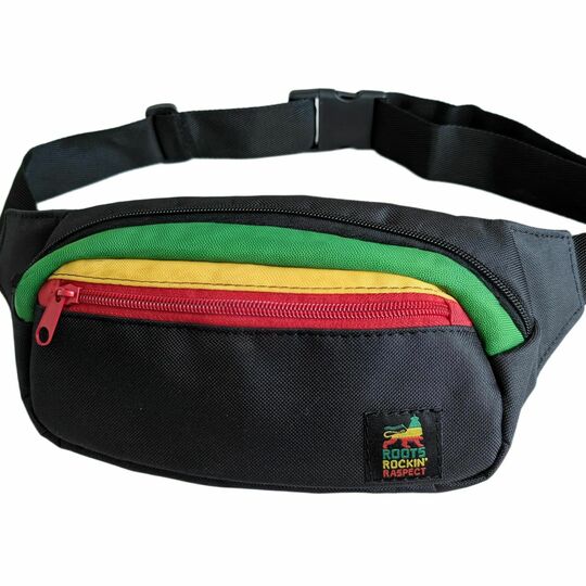 Ledvinka Dub Lion - Roots Rockin Raspect