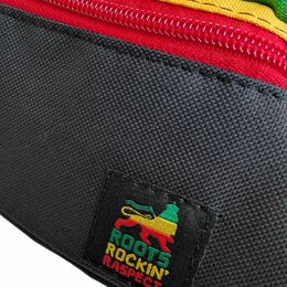 Ledvinka Dub Lion - Roots Rockin Raspect