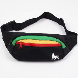 Ledvinka Dub Lion rasta/black