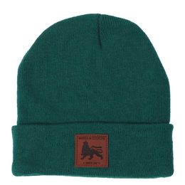 Zimní čepice brand lion | zelená