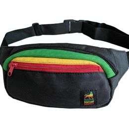 Ledvinka Dub Lion - Roots Rockin Raspect