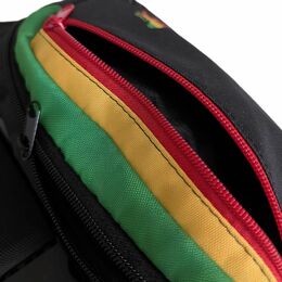 Ledvinka Lion of Judah